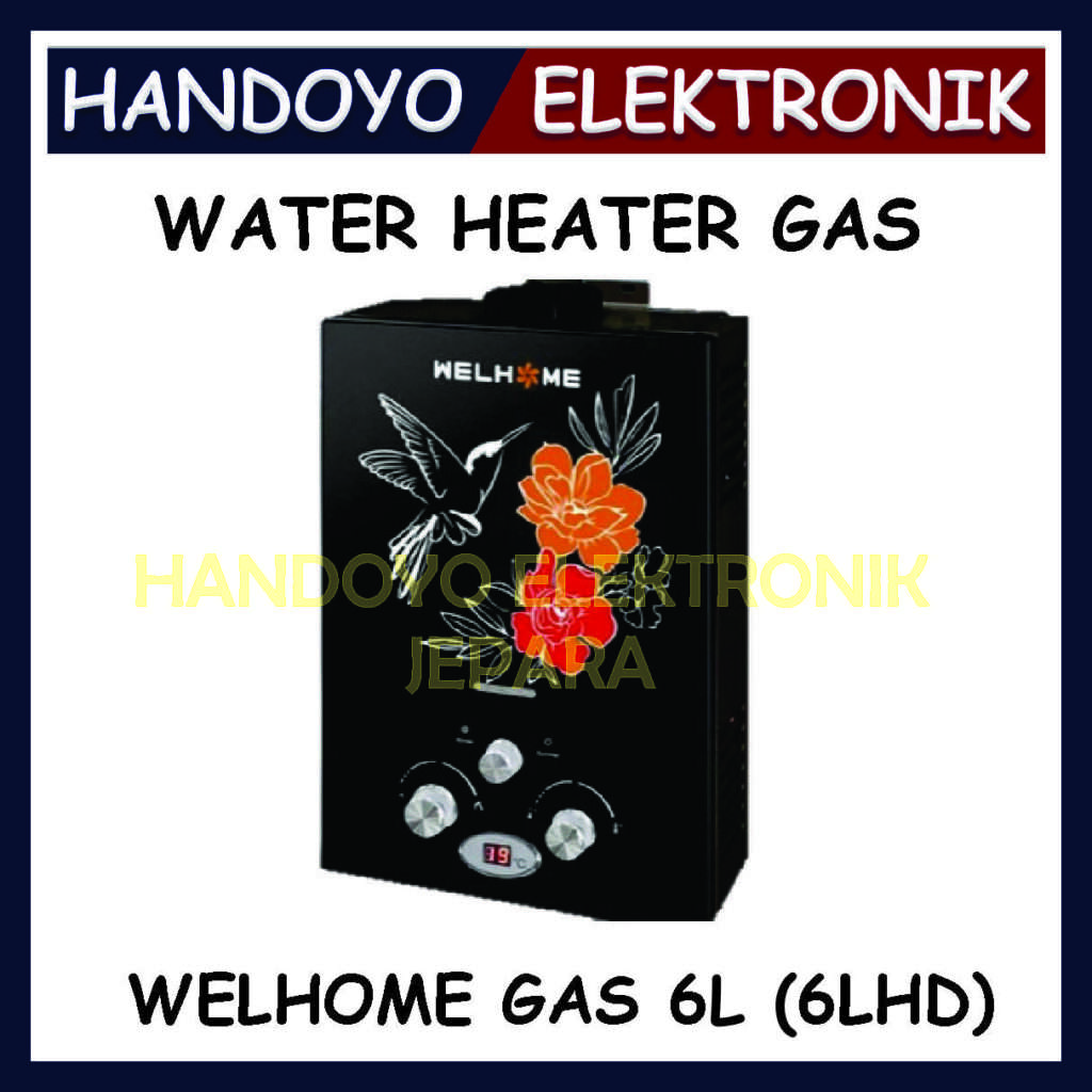 Welhome Gas 6LHD 6L